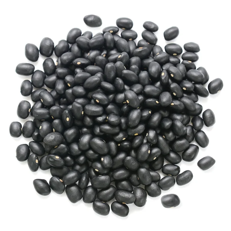 Organic Dried Black Beans 5lb