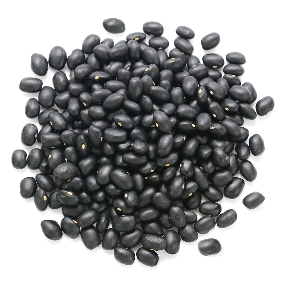 Organic Dried Black Beans 5lb