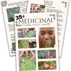 Medicinal Plants, Herbs, Trees Guide: Real Guides With Pictures, Sourcing, Use Cases, How To Prepare