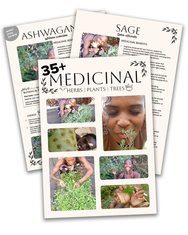 Medicinal Plants, Herbs, Trees Guide: Real Guides With Pictures, Sourcing, Use Cases, How To Prepare