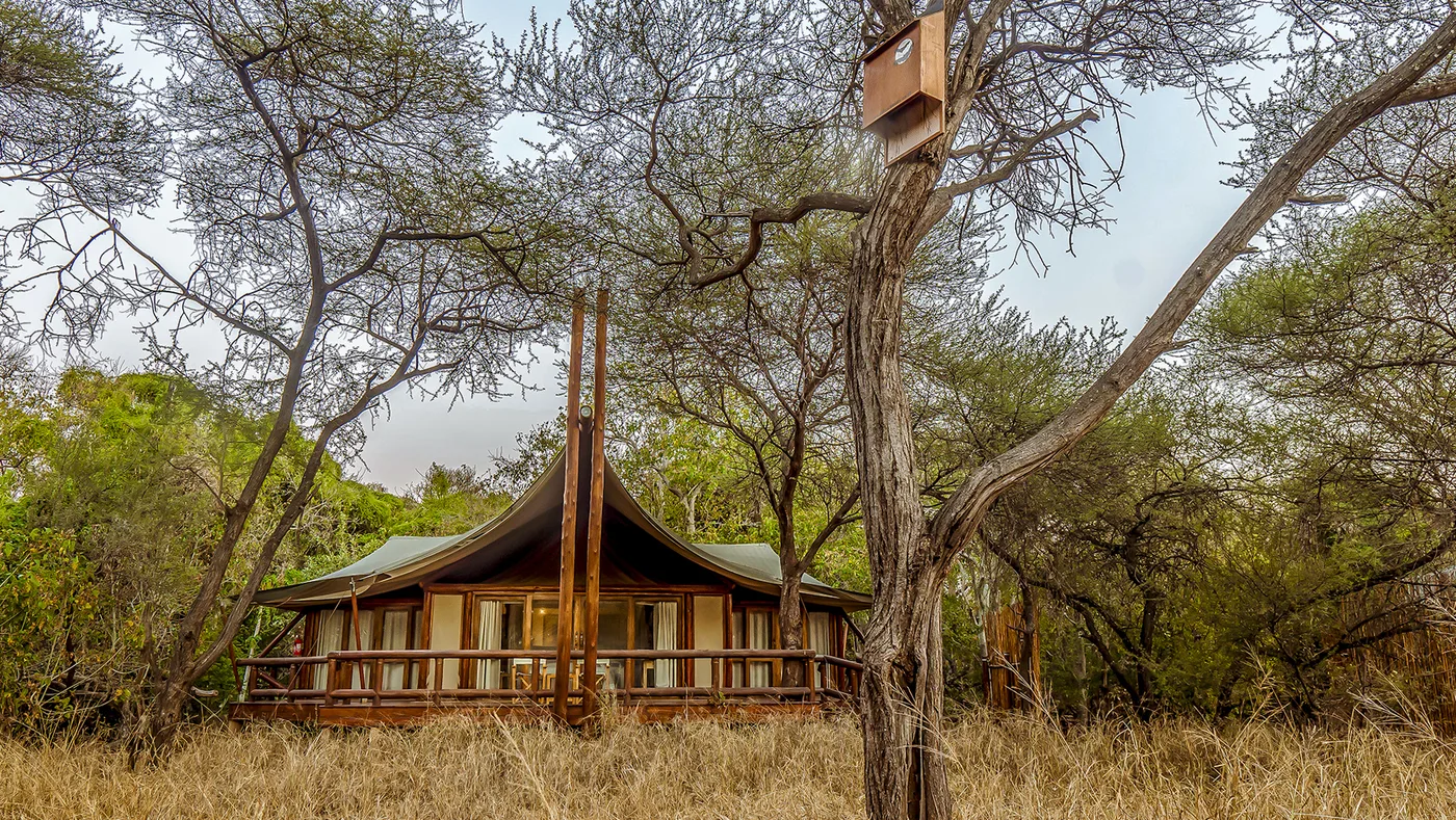 Tuli Safari Lodge
