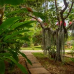 Charela Inn