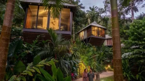 Daintree Ecolodge