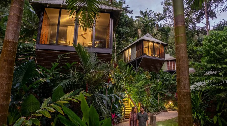 Daintree Ecolodge