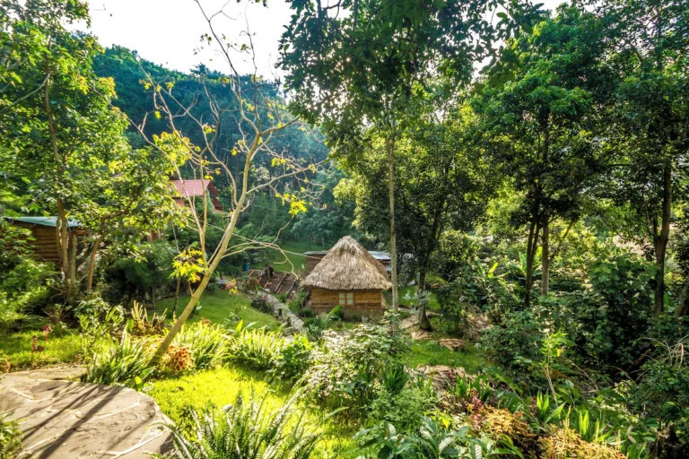 Eco Hotel MayAchik
