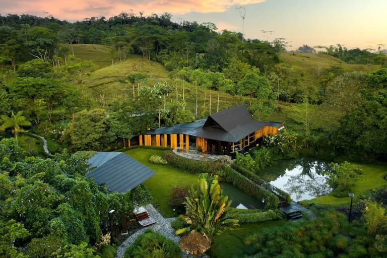 Ecolirios Boutique