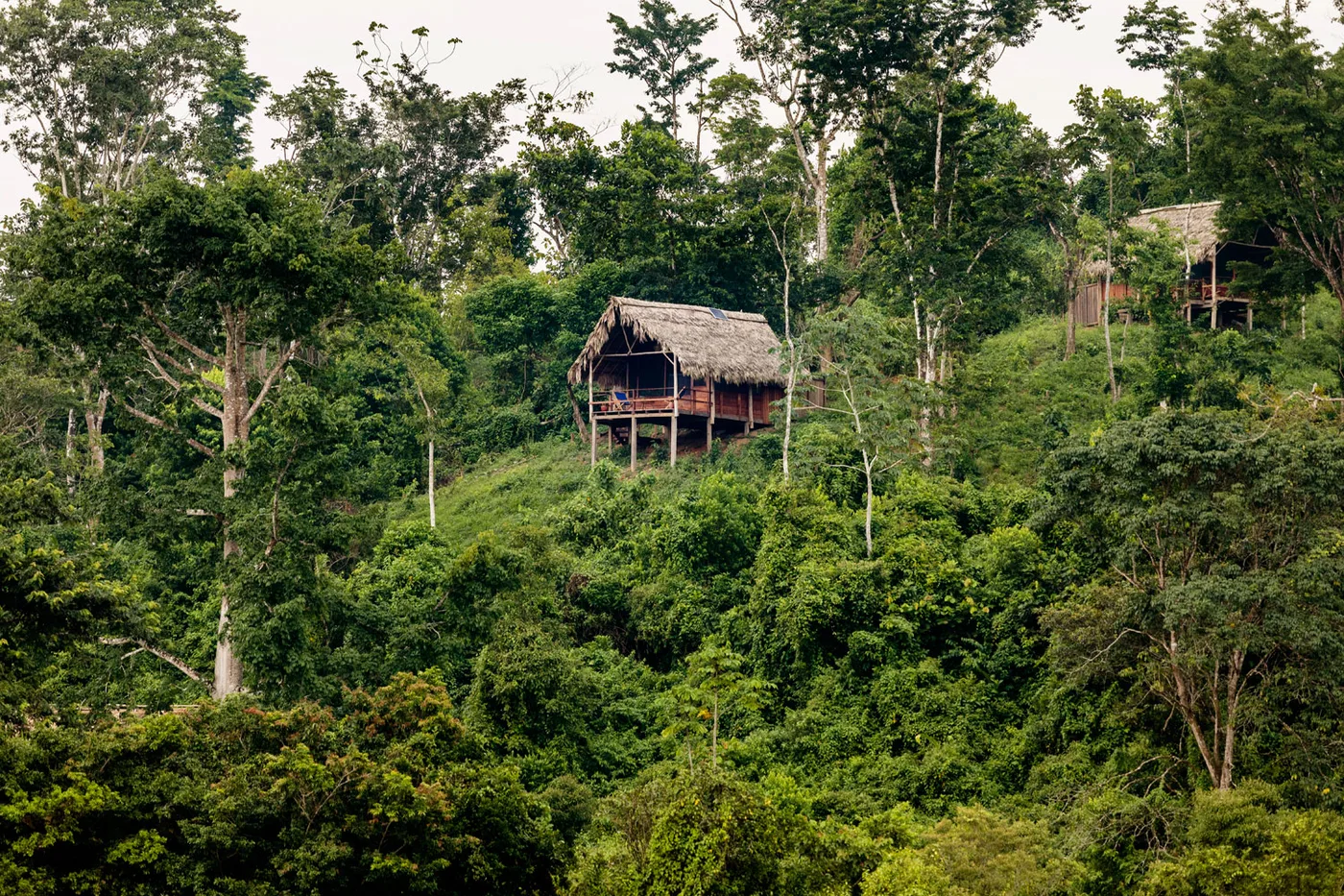 Guacimo Eco-lodge