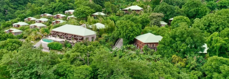 Jungle Bay