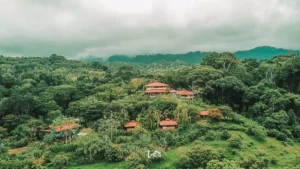 La Cusinga Lodge