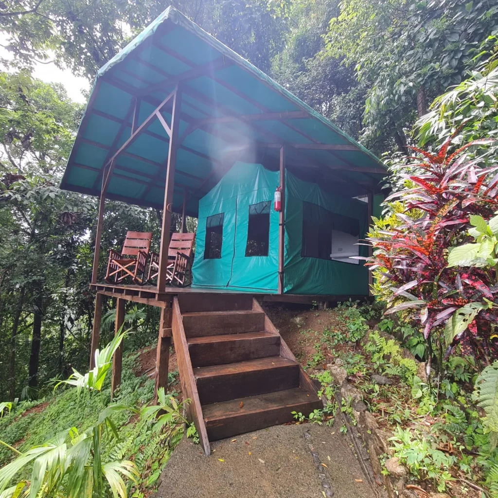 Luna Lodge
