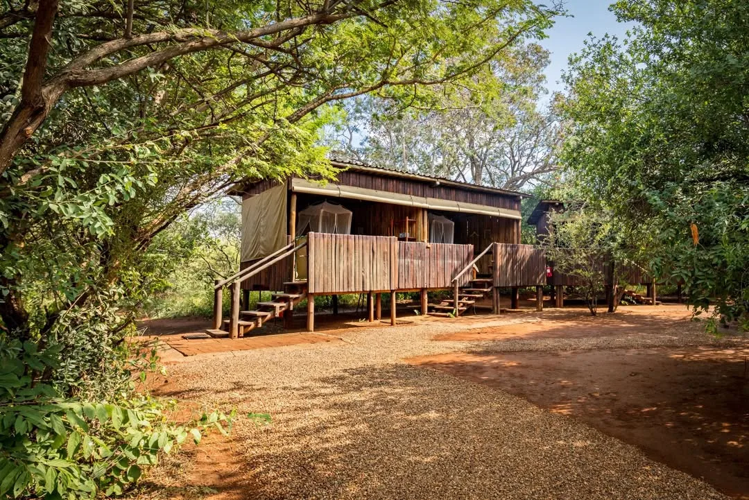 Mosetlha Bush Camp