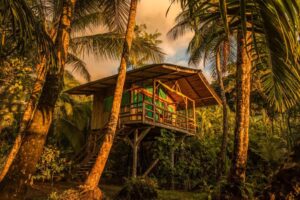 Ocean Forest Eco Lodge