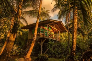 Ocean Forest Eco Lodge