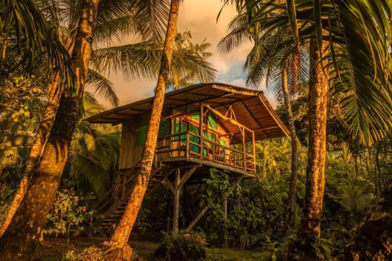 Ocean Forest Eco Lodge