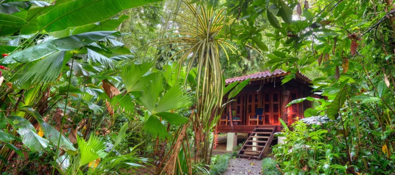 Playa Nicuesa Rainforest Lodge