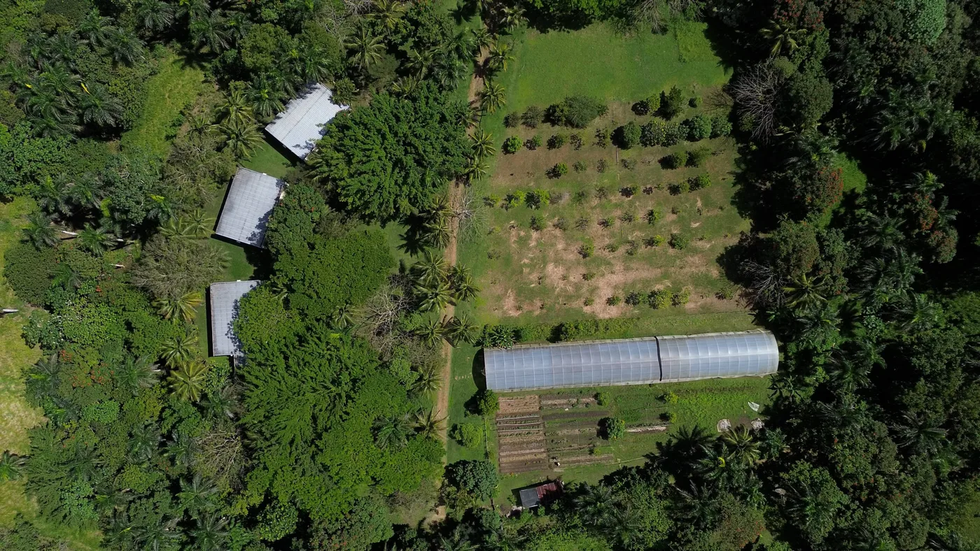Serafina Villas and Organic Farm Dominican Republic