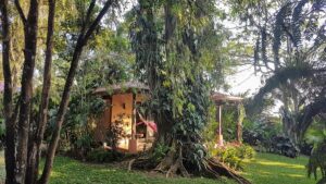 Tacacorí EcoLodge