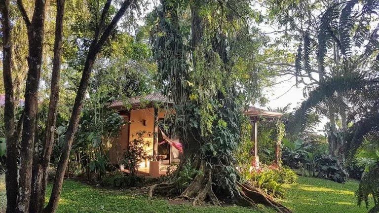 Tacacorí EcoLodge
