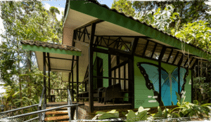 Tapirus Lodge