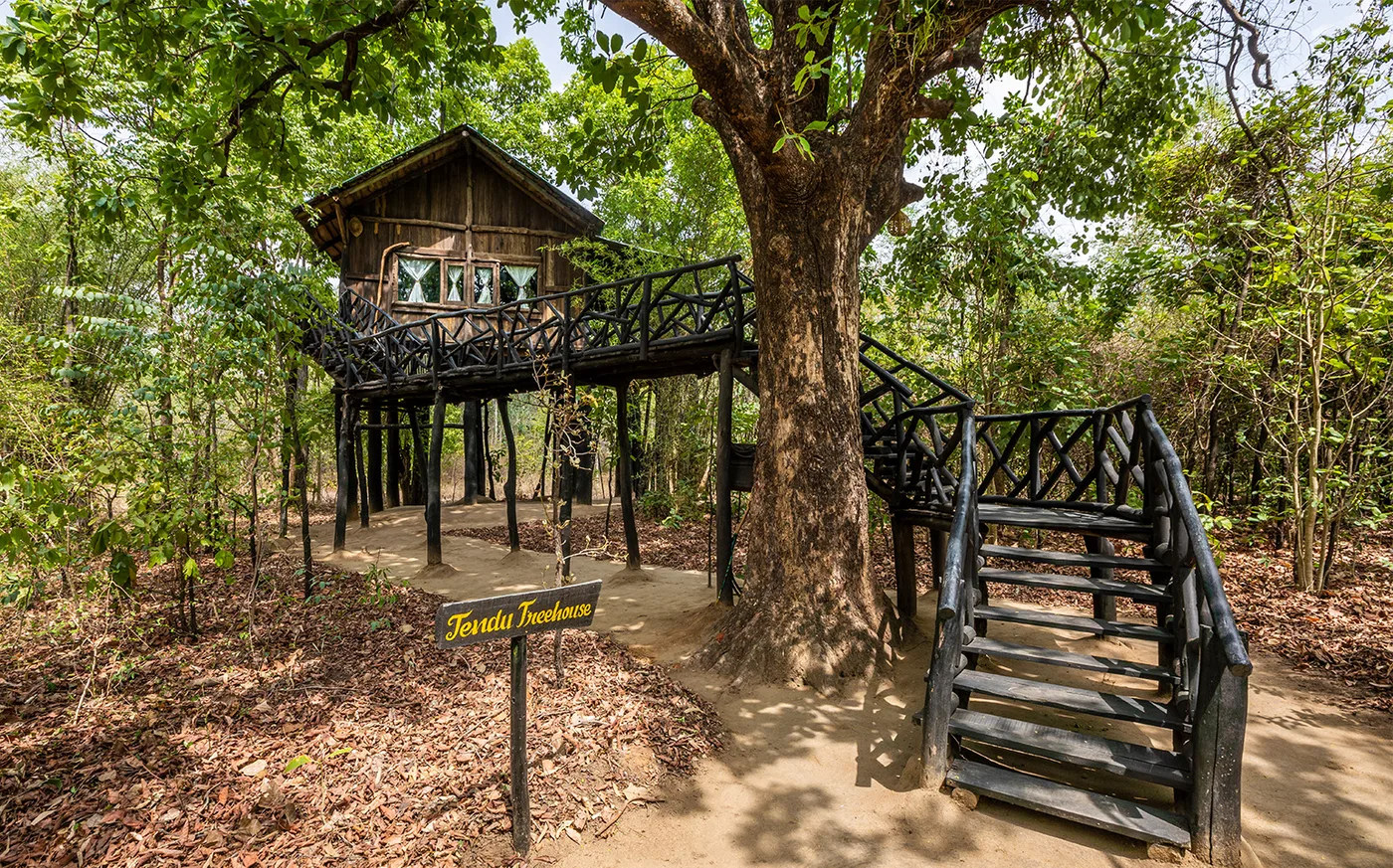 Tree House Hideaway