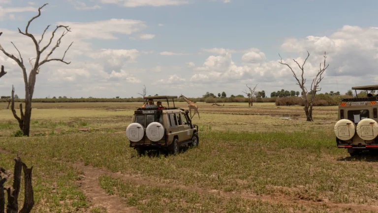 Upepo Safari