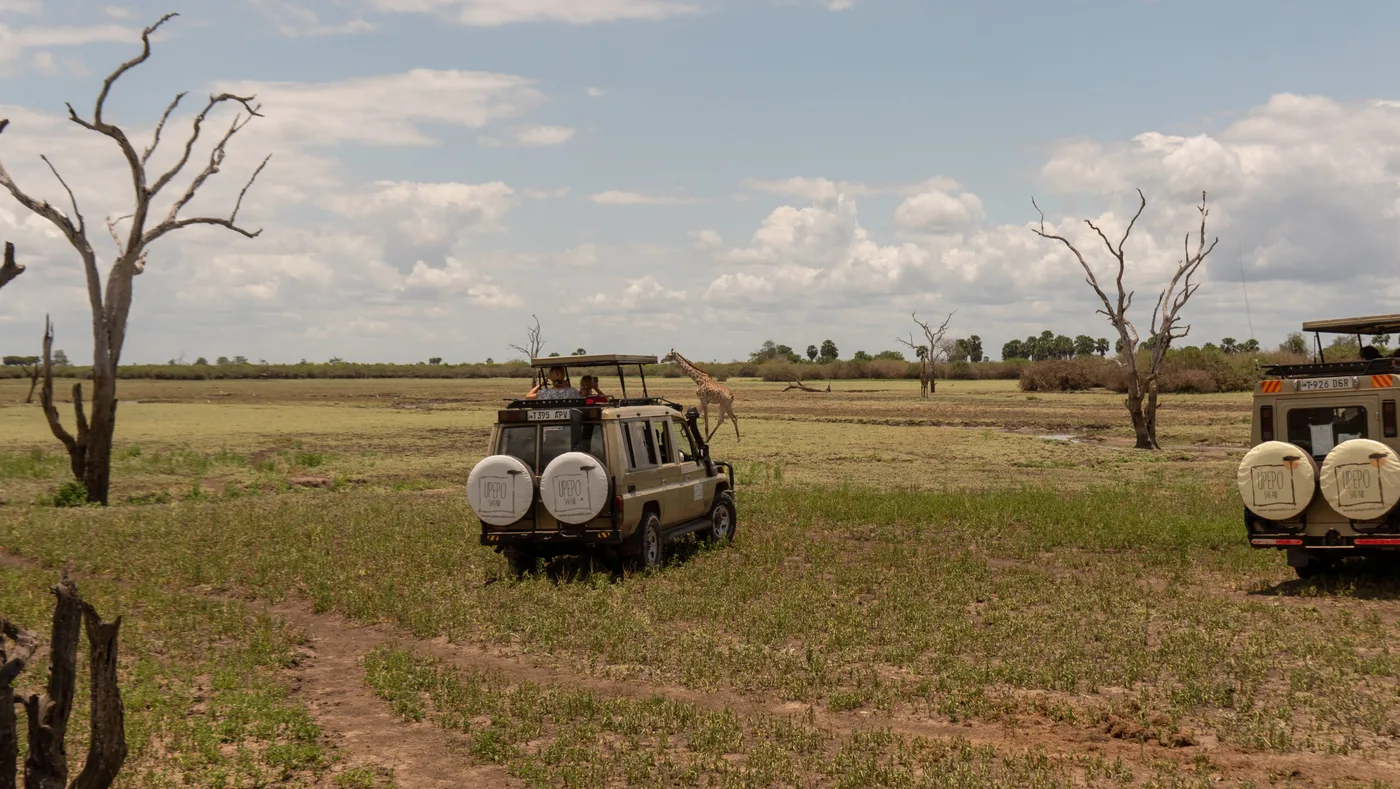 Upepo Safari