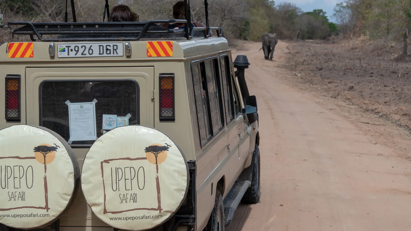 Upepo Safari