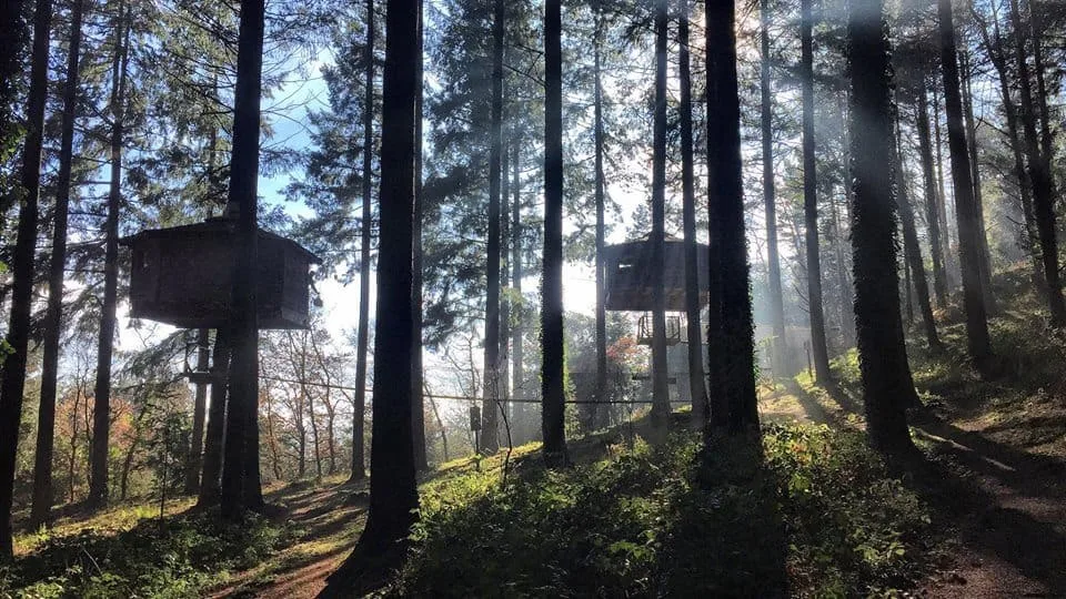 Cabanes als Arbres
