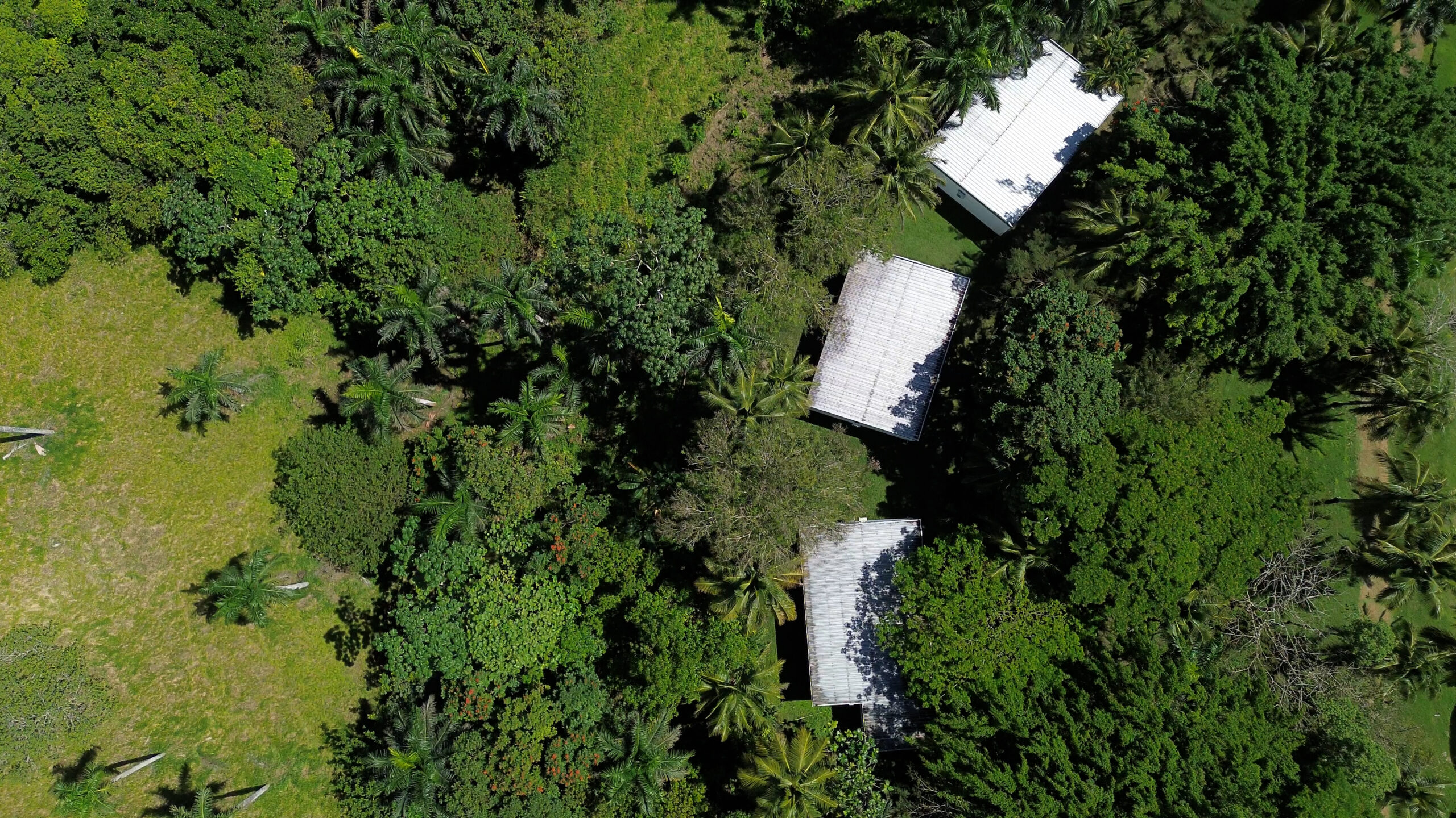 Serafina Villas and Organic Farm Dominican Republic
