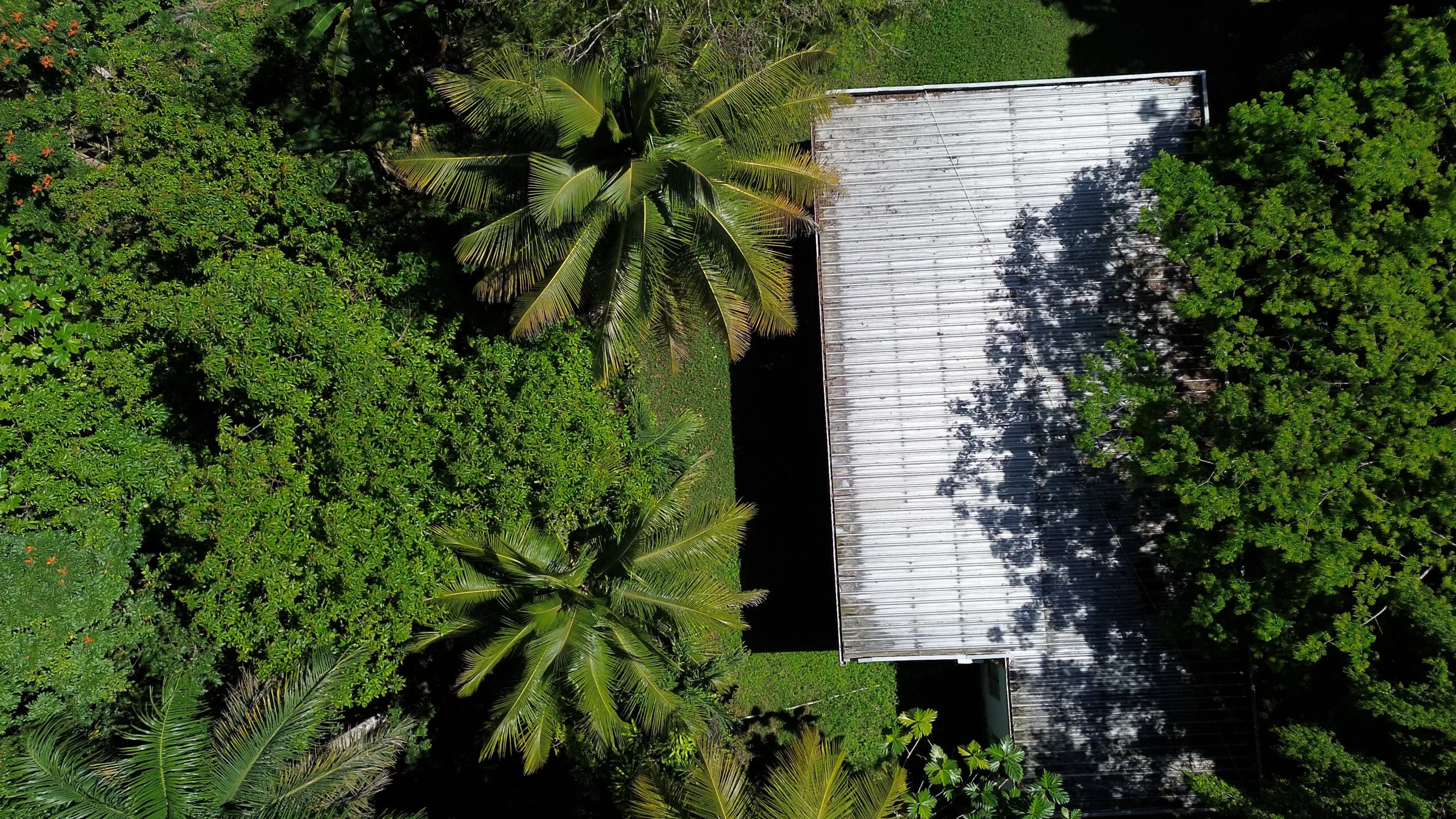 Serafina Villas and Organic Farm Dominican Republic