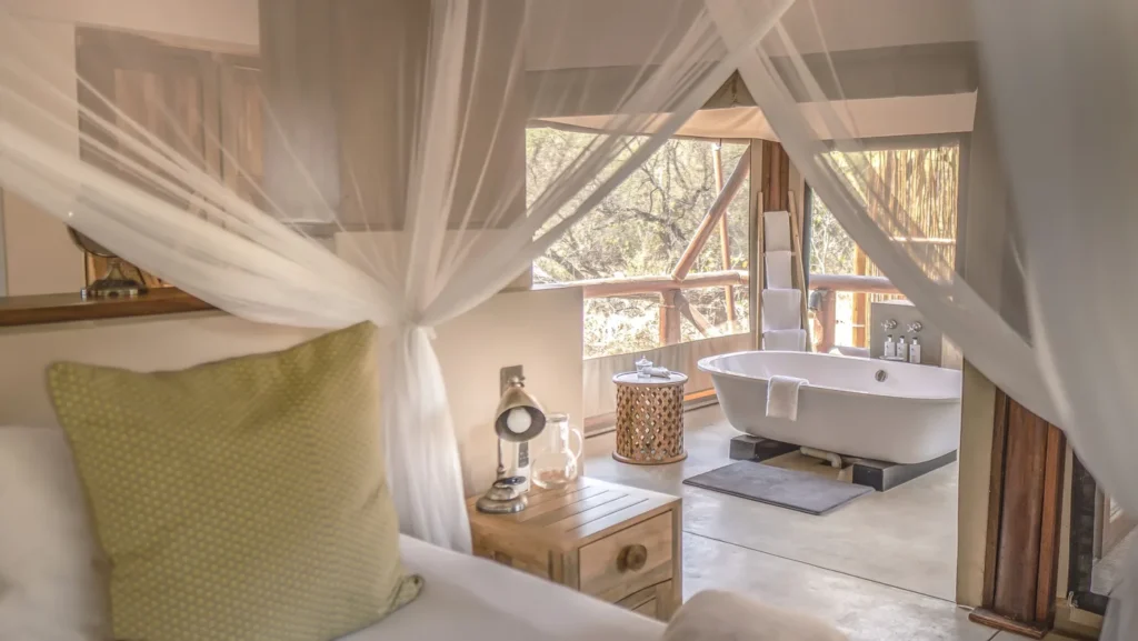 Tuli Safari Lodge