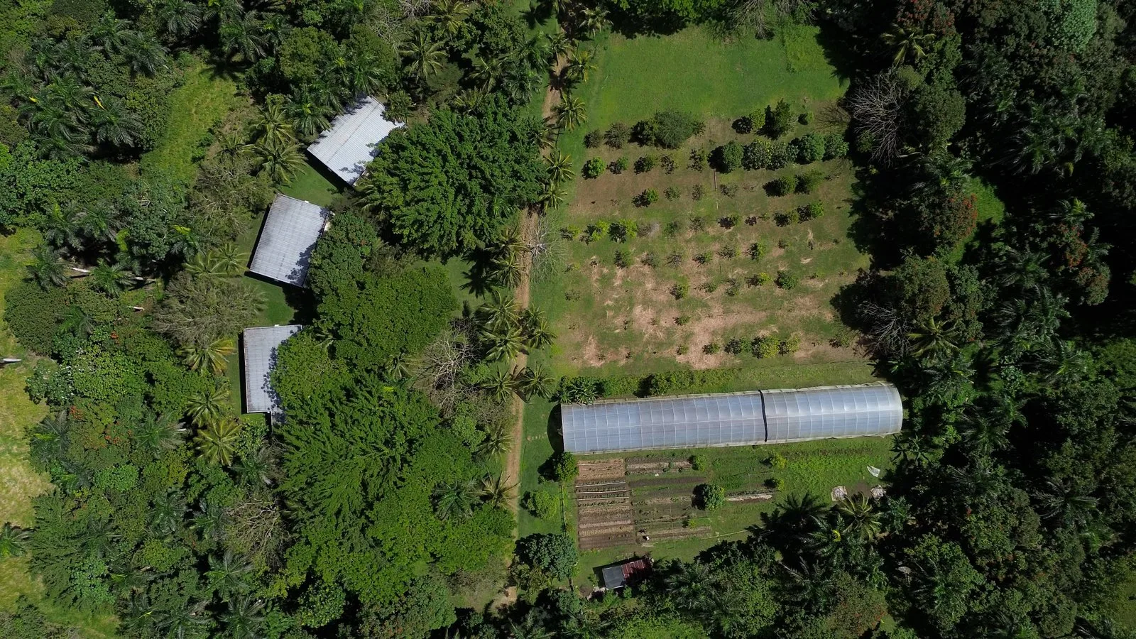Serafina-organic-farm