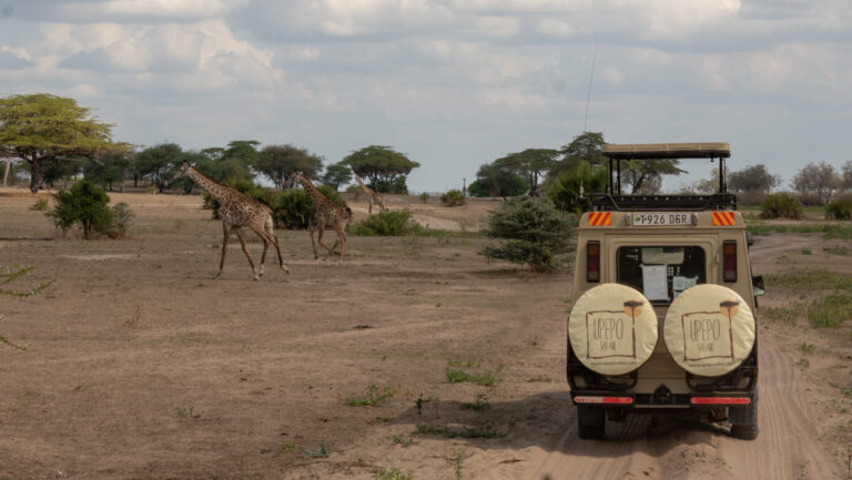Tanzania