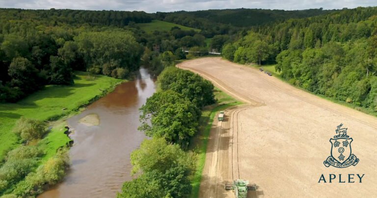 Apley Farm Shop, Food Hall, Kitchen Cafe & Playbarn