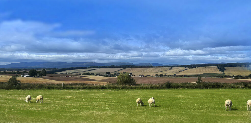 Broadslap Farm Shop and Café
