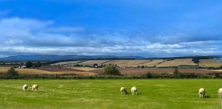 Broadslap Farm Shop and Café
