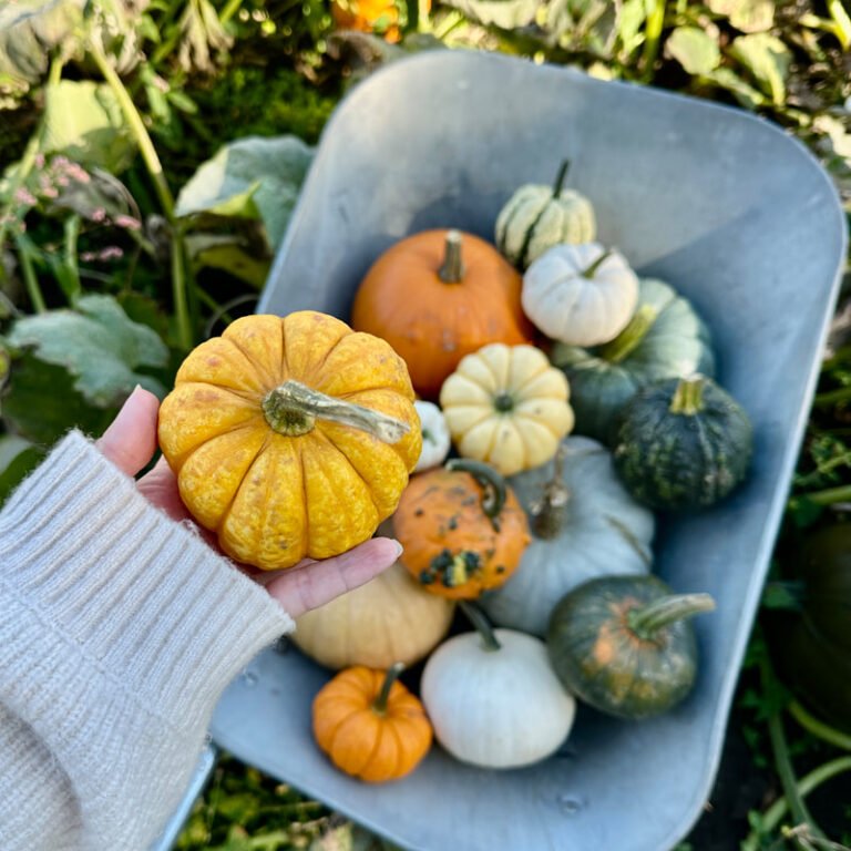 Kenyon Hall Farm