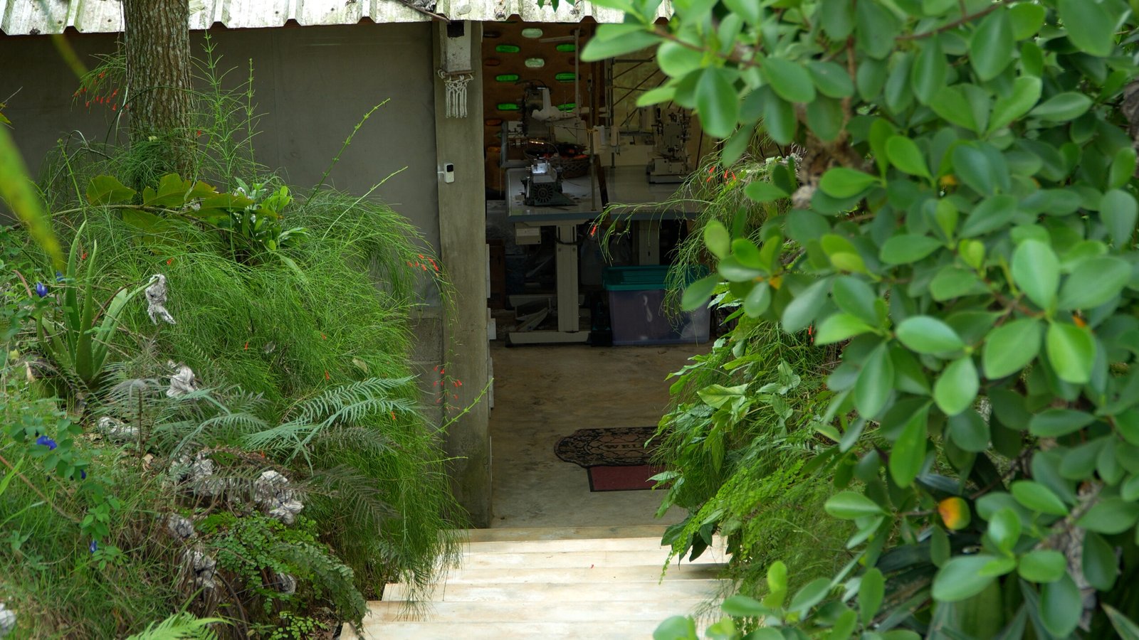sustainable fashion swimwear interview freedom ecowear eco friendly materials100