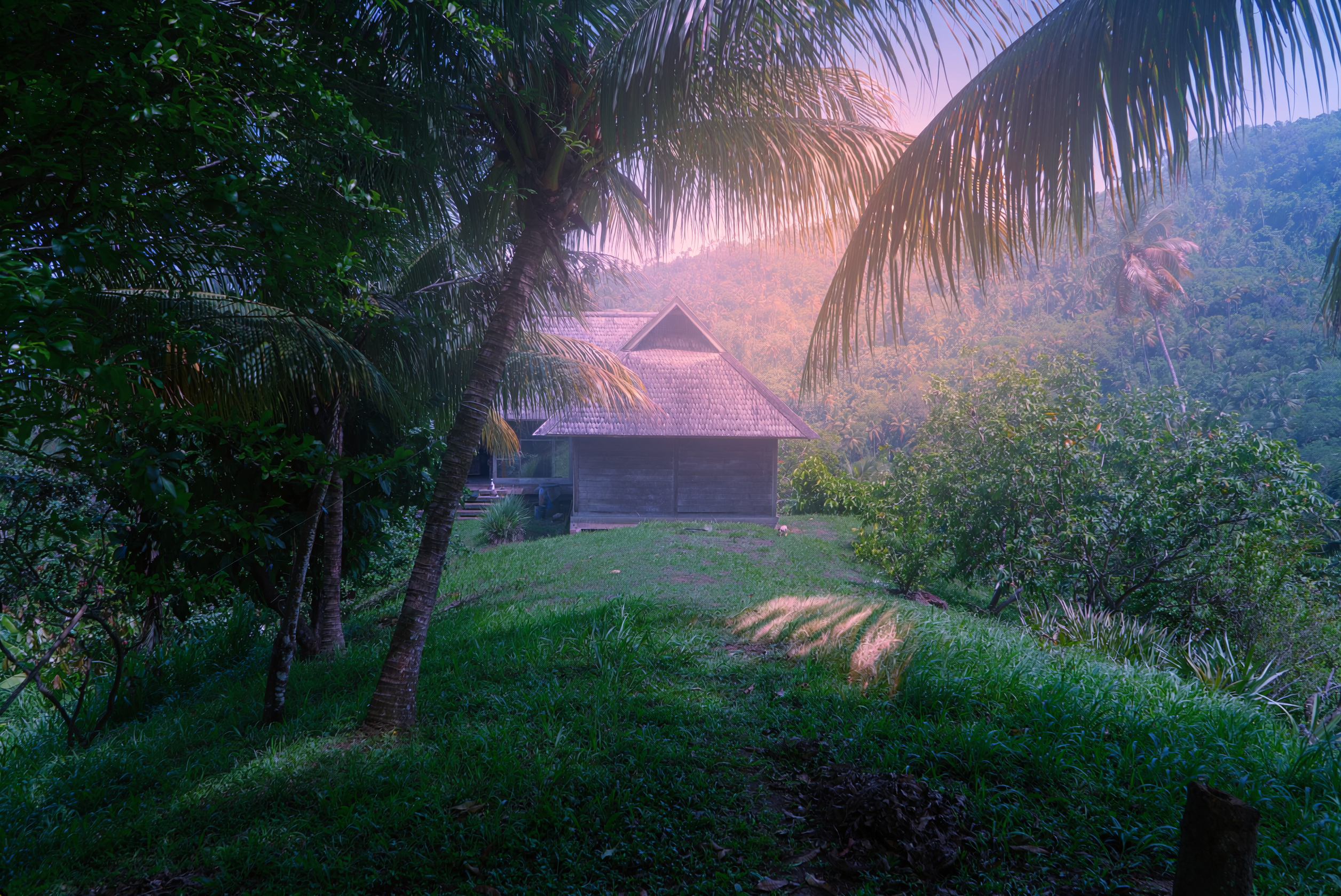 where to stay st vincent island nature eco tourism eco lodge.png