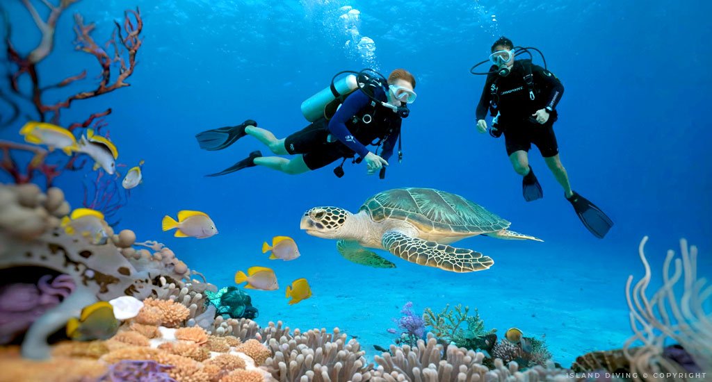 Island Diving St Barth