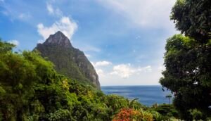 Stonefield Estate botanical and petroglyph walk