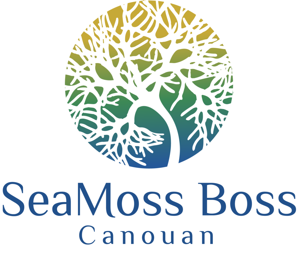 SeaMoss Boss Canouan: Sea Moss Farm Tour
