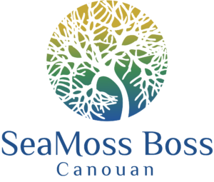 SeaMoss Boss Canouan: Sea Moss Farm Tour