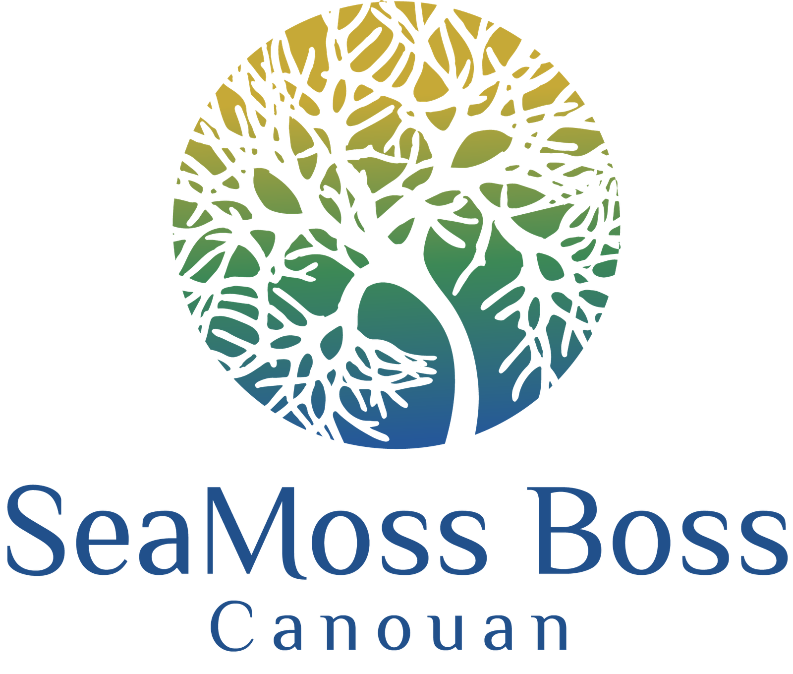 SeaMoss Boss Canouan: Sea Moss Farm Tour
