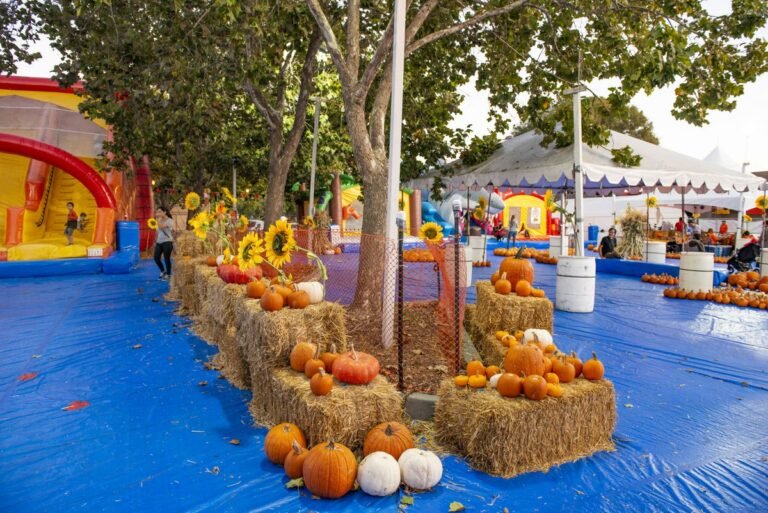 ABC Tree Farms & Pick of the Patch Pumpkins 2