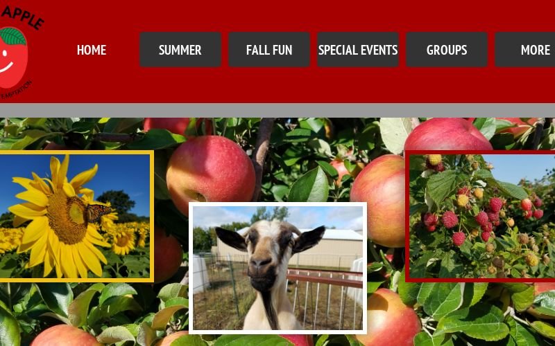 Afton Apple Orchard