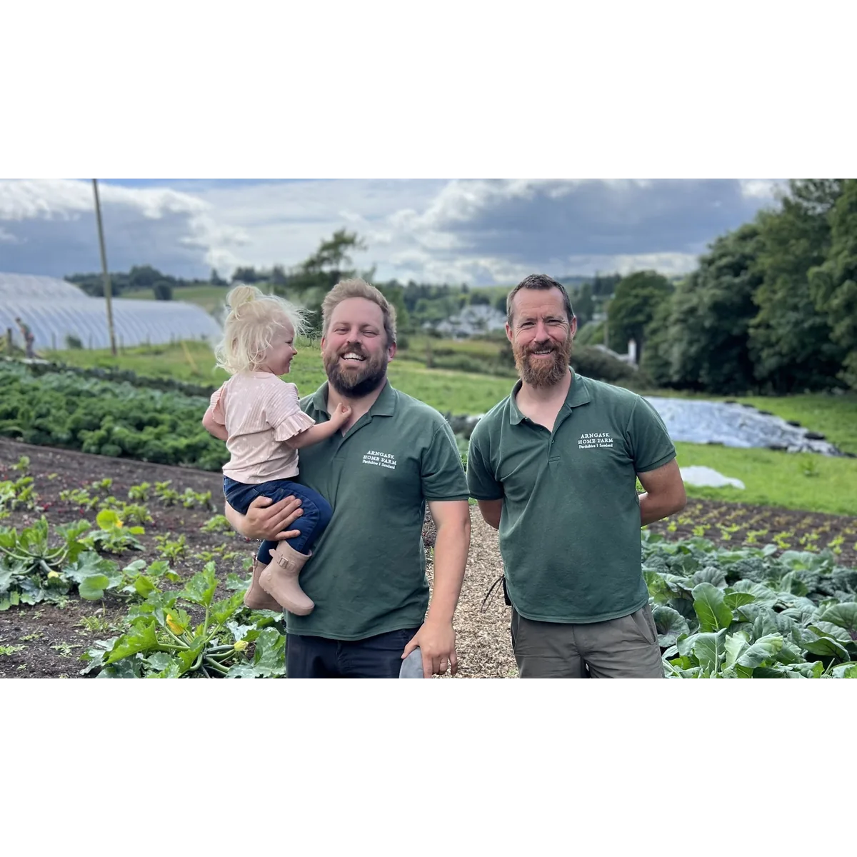 Arngask Home Farm organic veg box