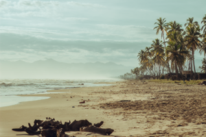 Barbuda foreshore beach walks