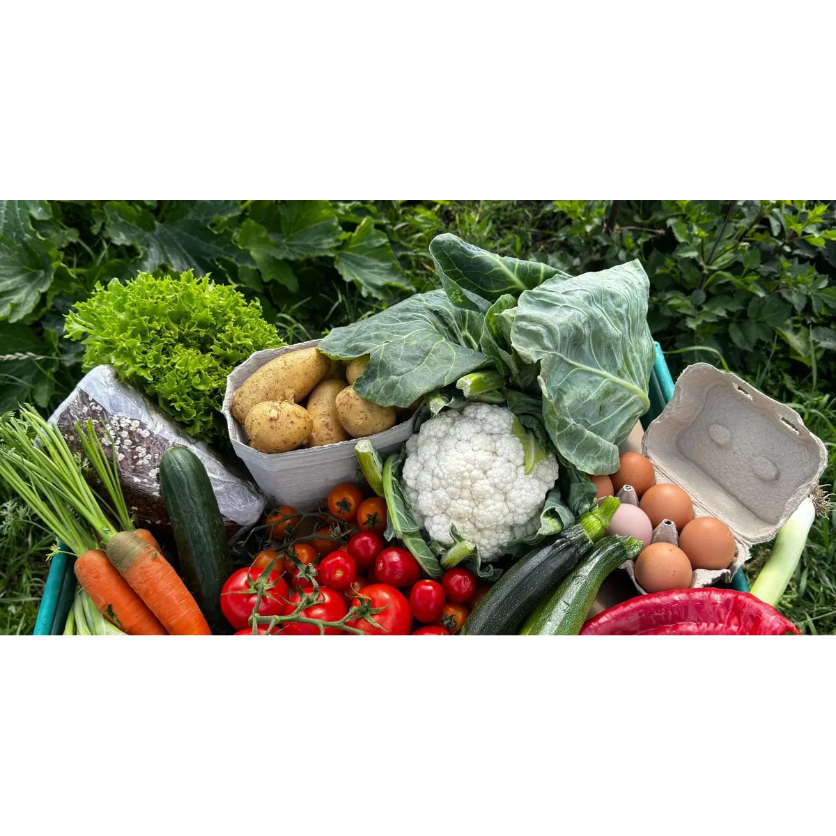 Bare Acre Farm organic veg box