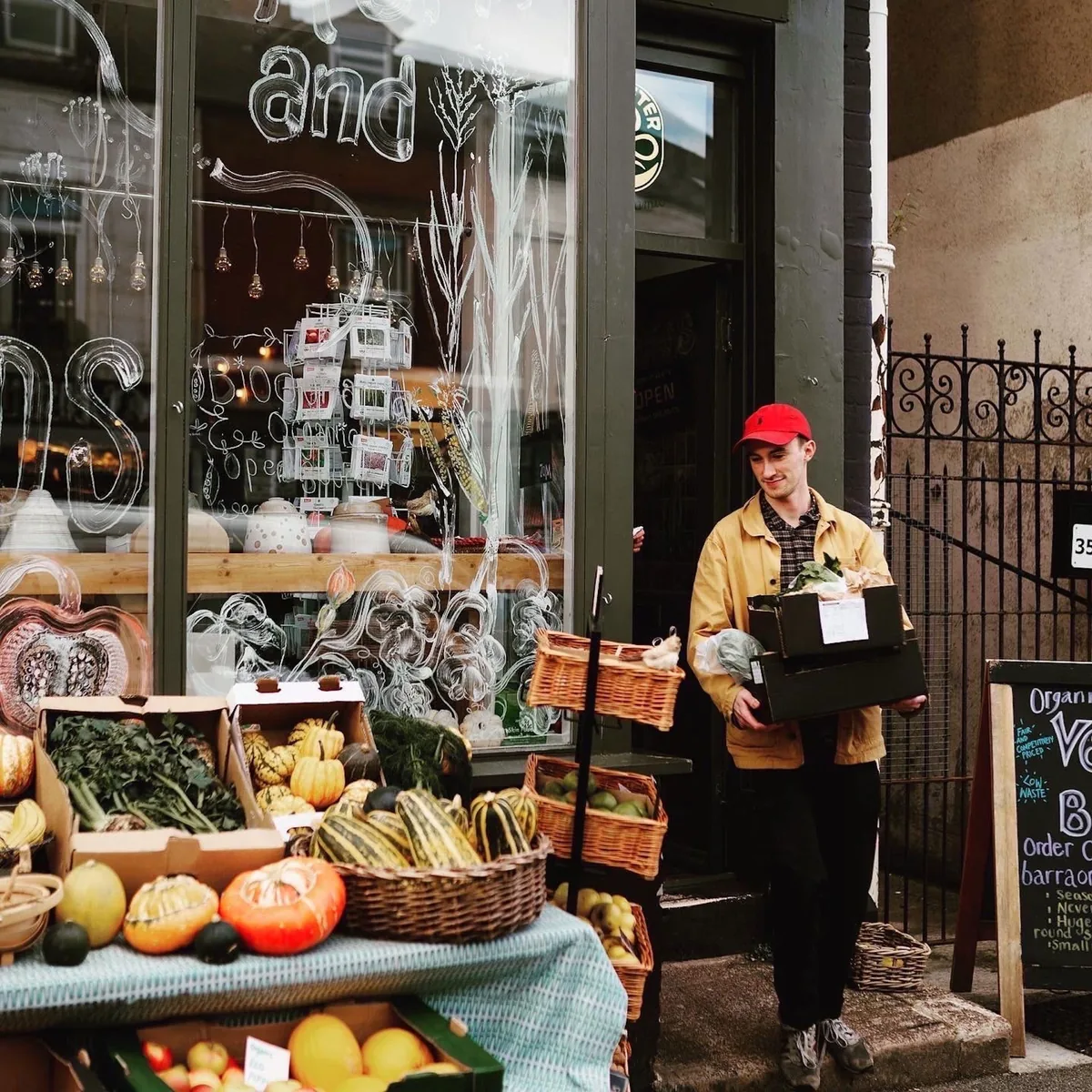 Barra Organics organic veg box